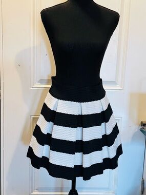Vizio USA Black & White Striped Pleated A-Line Skirt Size L